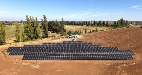 Ponen en operación cuatro plantas solares de autogeneración para predios agrícolas