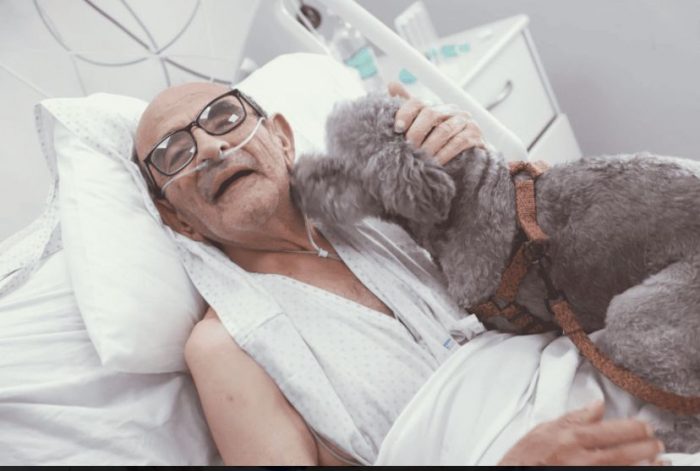 Pacientes críticos pueden recibir visitas de sus mascotas: conoce el caso de Don Carlos y Toby