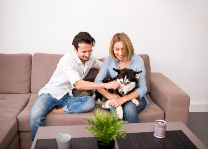 Separarse en pareja sin distanciarse de los animales