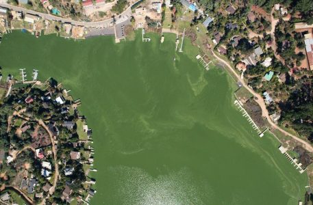 ¿De joya turística a pantano estancado? Los problemas del lago Vichuquén