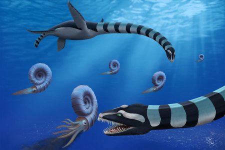 Chileno participa en inédito hallazgo de un nuevo tipo de plesiosaurio en Columbia Británica