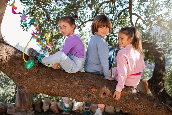 Educar desde el territorio: ¿Por qué la escuela rural es una oportunidad para Chile?