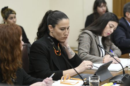 Pérdida de 1,2 millones de vacunas complican a subsecretaria de Salud Pública, Andrea Albagli