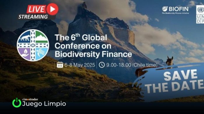El financiamiento global para salvar la biodiversidad se juega sus horas clave en Chile