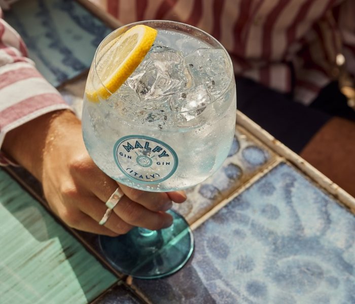 ¿Frutal, cítrico o clásico? La mezcla perfecta este Día del Gin