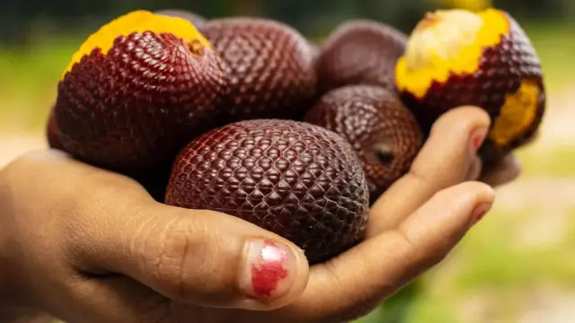 8 jugos de fruta que solo puedes saborear en la Amazonía