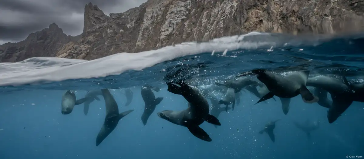 Chile protegerá más de la mitad de sus océanos