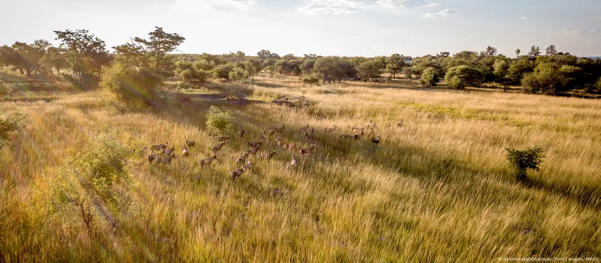 Revelan clave del éxito de migración humana hace 50.000 años