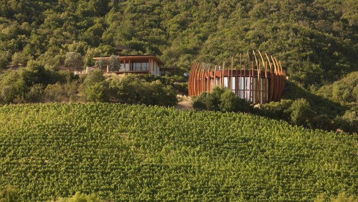 De América Latina al Valle de Apalta: la Ruta Trasandina convierte a Chile en epicentro gastronómico