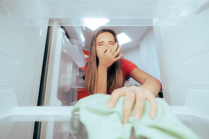 Cómo evitar bacterias en tu refrigerador y mantener tus alimentos seguros este invierno