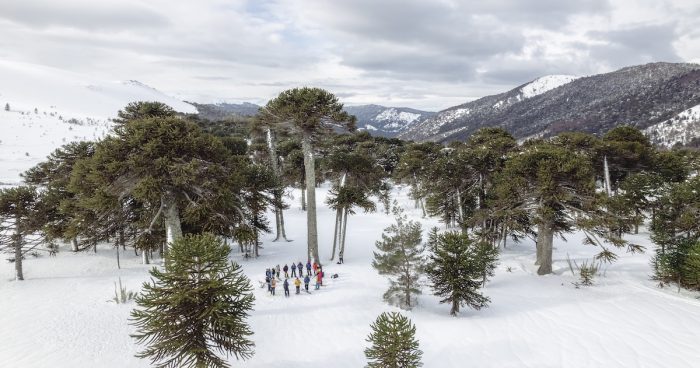Andes Consciente: Encuentros gratuitos de seguridad en la montaña