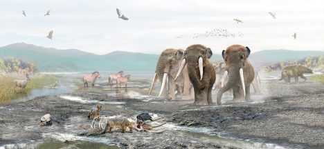 Los frutos perdidos de la Megafauna: científicos confirman teoría de hace 40 años