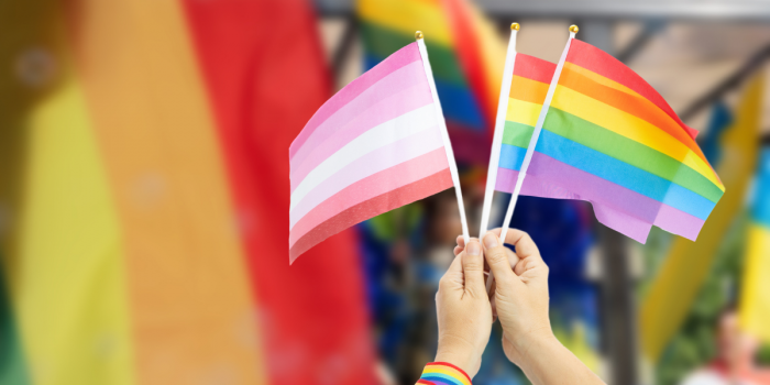 Mes del Orgullo 2025: Encuestas revelan percepción sobre derechos de comunidad LGBTIQ+ en Chile