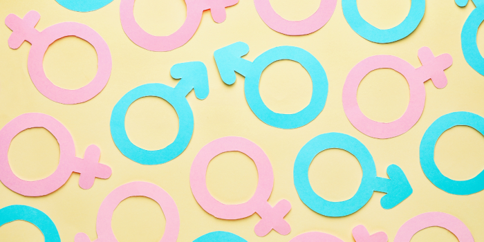 ¿Por qué no estuvo la Educación Sexual Integral en la Cuenta Pública?