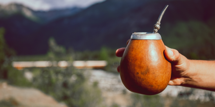 Infusiones para el invierno: por qué el mate y el matcha son los favoritos para entrar en calor