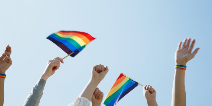 Diversidad en Chile: nuevas generaciones impulsan cambios y mayor visibilidad social