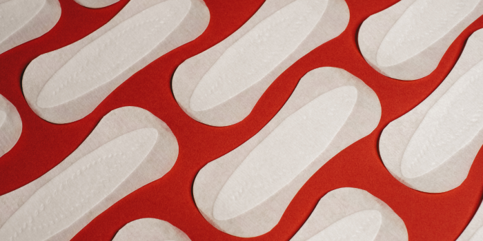 Más allá del hecho biológico: cuerpos y afectos colectivos para lograr dignidad y justicia menstrual