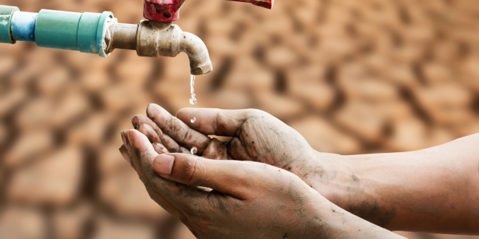Día Mundial de Lucha contra la Desertificación y la Sequía: es fundamental implementar medidas