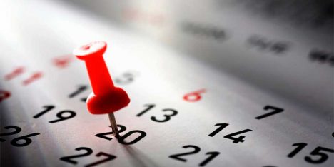 Feriado el viernes 20 de junio: revisa a qué se debe