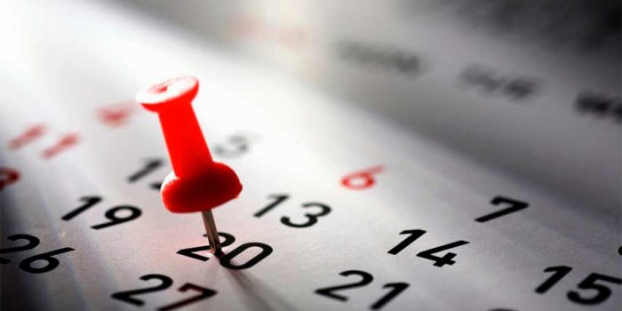 Feriado el viernes 20 de junio: revisa a qué se debe
