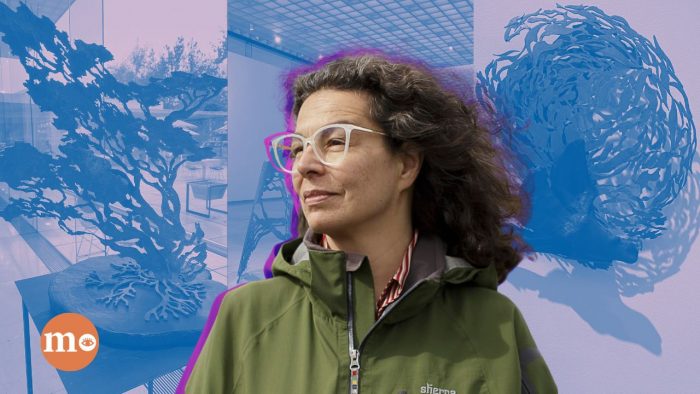Paola Vezzani inaugura muestra sobre la fragilidad del territorio austral ante el cambio climático