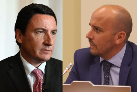 Squella y Longton: las cartas de la derecha que arrastrarían a un tercero al Senado por Valparaíso