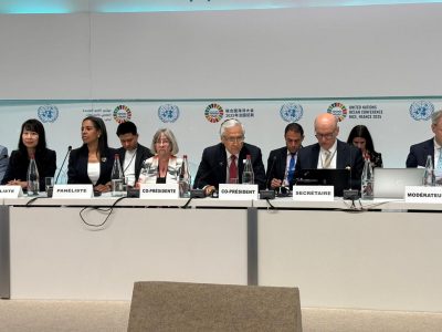 Heraldo Muñoz: "Fue aprobado por aclamación que Chile y Corea del Sur coorganicen la Unoc4"