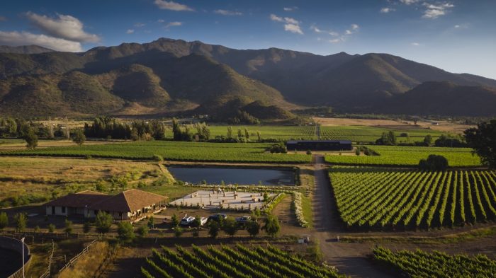 Viñas chilenas abren sus puertas este invierno con panoramas para toda la familia
