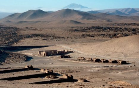 Tarapacá: el individuo elegido para evolucionar