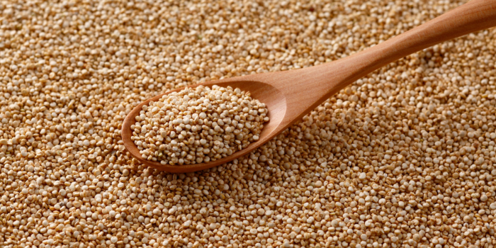 La quinoa como medicina: investigadores revelan que sus compuestos ayudan a prevenir enfermedades