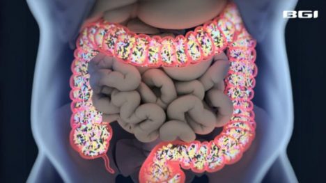 La salud intestinal podría ser la clave para (casi) todos los males