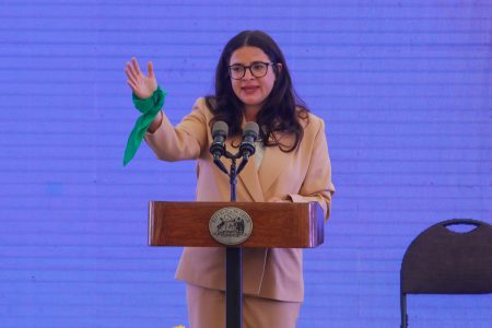 Orellana por campaña en redes contra Matthei: "Las mujeres en política están expuestas a más"