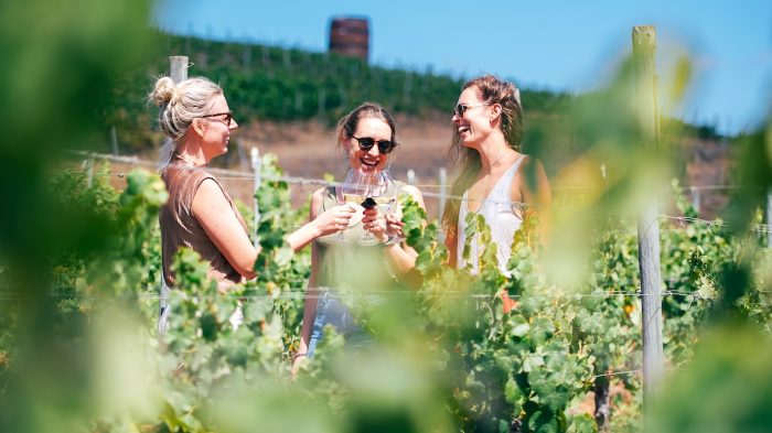 Vino y amistad: 20 viñas de Chile celebran el Día del Amigo con panoramas únicos para compartir