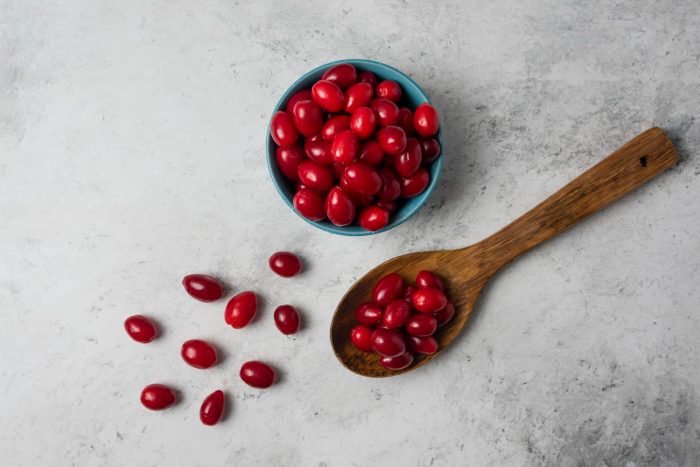 Potencial productivo y desafíos del cranberry en Chile
