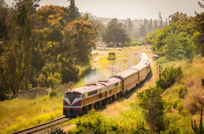 El nuevo recorrido del Tren del Recuerdo en la Región de Valparaíso partirá en esta fecha