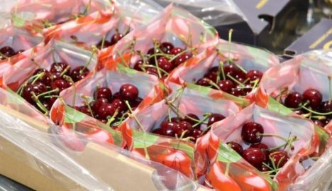 Científicos chilenos crean packaging que logra retrasar putrefacción de fruta de exportación