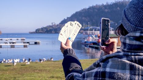 Pucón se suma al auge del turismo de naturaleza con una guía ilustrada para explorar sus ecosistemas