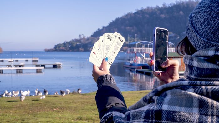 Pucón se suma al auge del turismo de naturaleza con una guía ilustrada para explorar sus ecosistemas