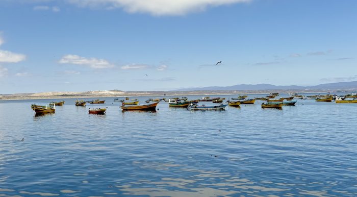 Tongoy celebra a San Pedro: una fiesta de fe, mar, gastronomía y tradición