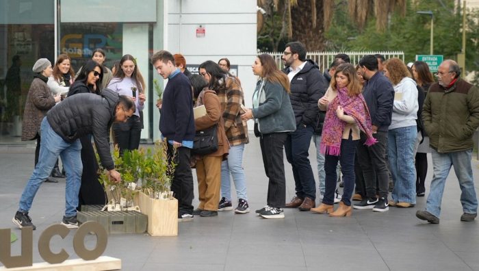 Regalar árboles: la tendencia que crece desde la conciencia ambiental y el compromiso corporativo