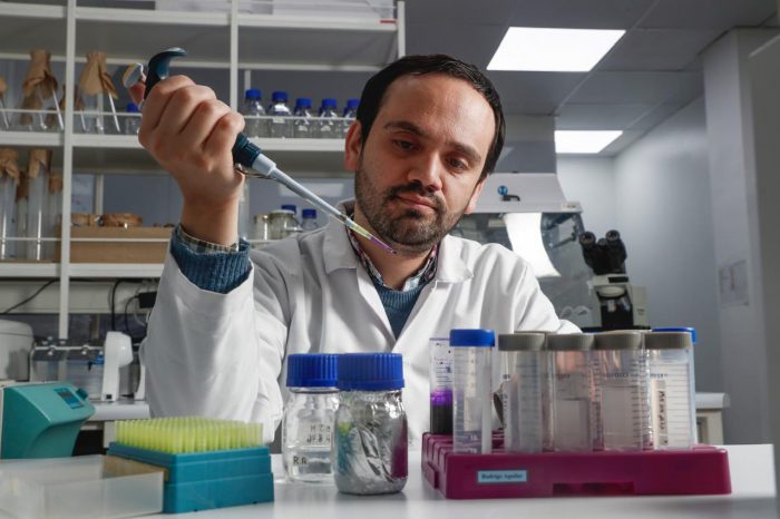 Investigación chilena descubre cómo el ARN regula genes  para prevenir cáncer y otras enfermedades