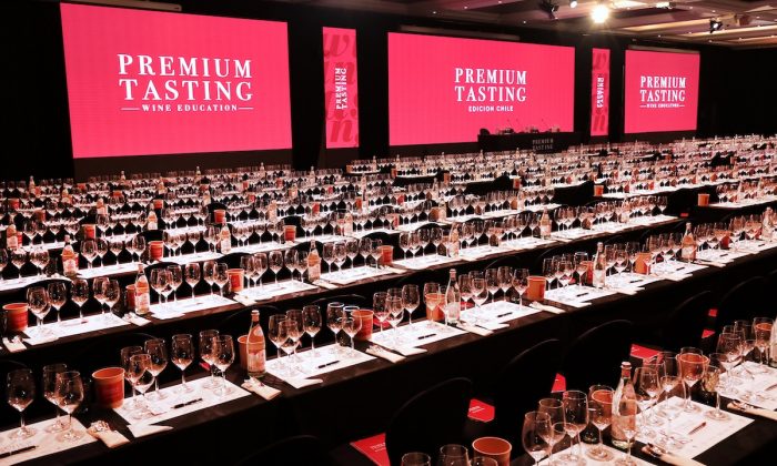 El Norte Verde, la costa y la identidad del vino chileno: así vuelve el Premium Tasting 2025