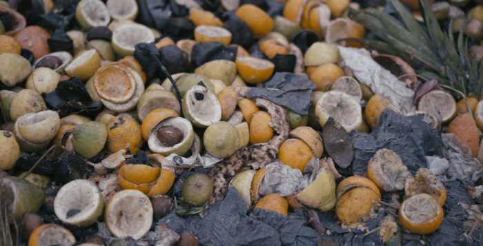 Desperdicio de alimentos en Chile: botar comida en medio del sobregiro ecológico