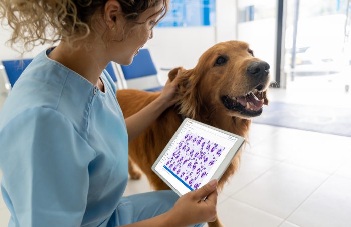 Zoonosis: el vínculo entre la salud humana y animal