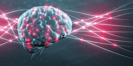 Ranking global destaca a investigadora chilena por su aporte en conectividad cerebral