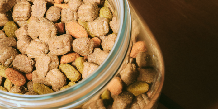 Alimento de mascotas en invierno: claves para conservar aroma, textura y frescura
