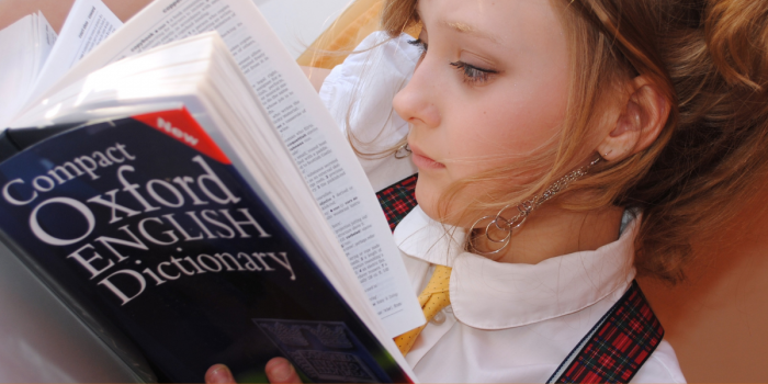 Estudio revela que los chilenos entienden inglés, pero no se atreven a hablarlo