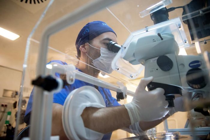 Embriólogos: los científicos clave detrás del éxito en tratamientos de fertilidad