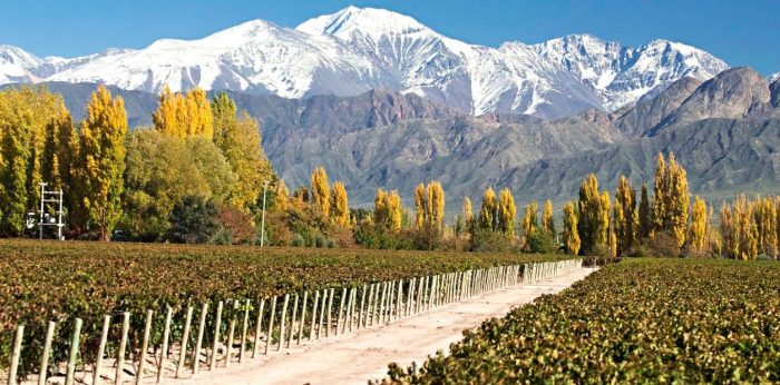 Invierno en Valle de Uco: vino, paisaje y descanso en uno de los destinos más cautivantes de Mendoza