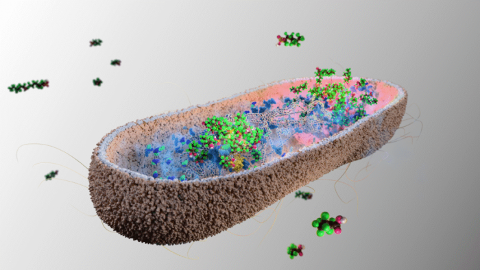 Microbiota y cáncer: una relación que podría cambiarlo todo